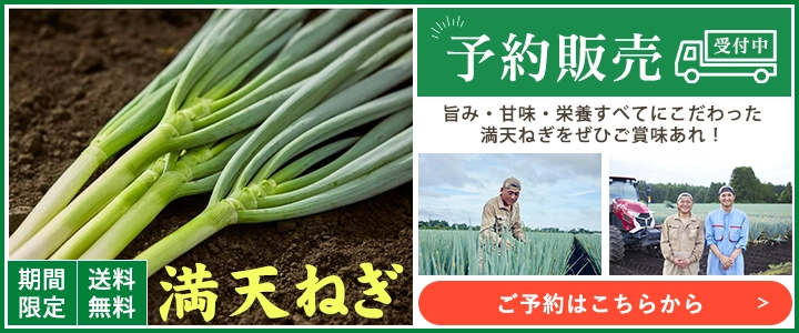 満天ねぎ予約販売受付中！